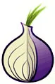 onion.jpg