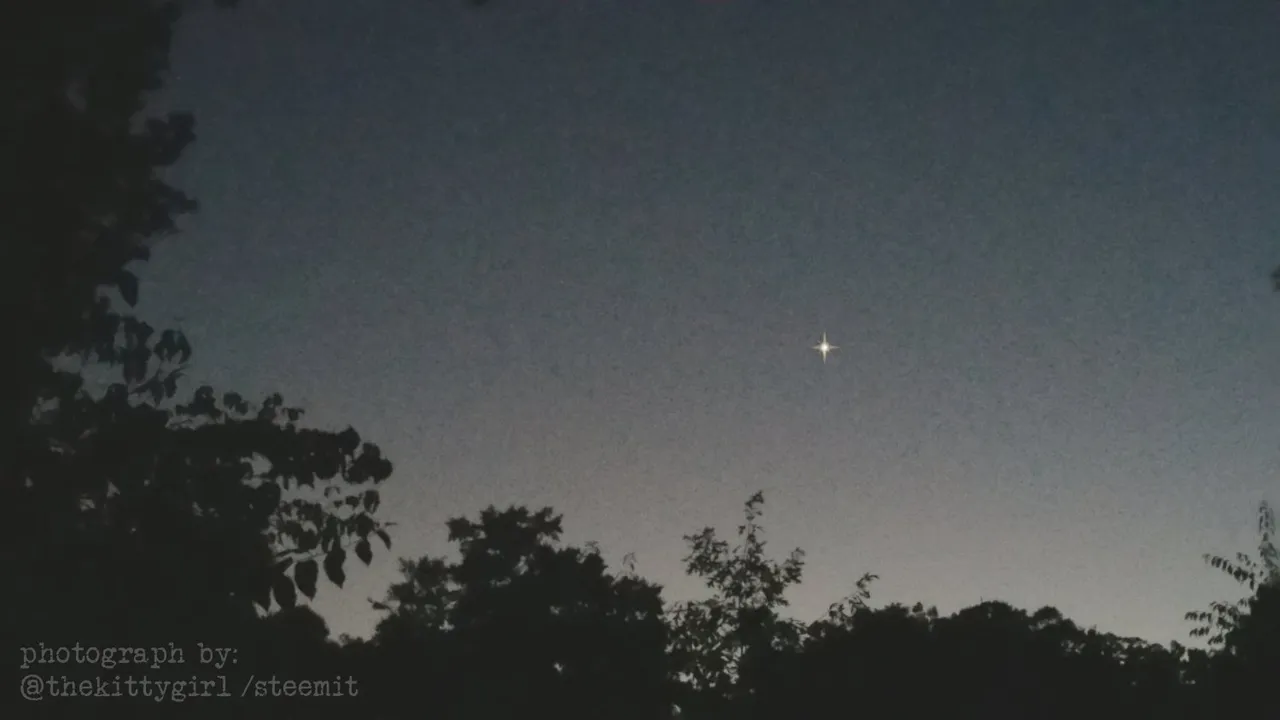 Venus.jpg