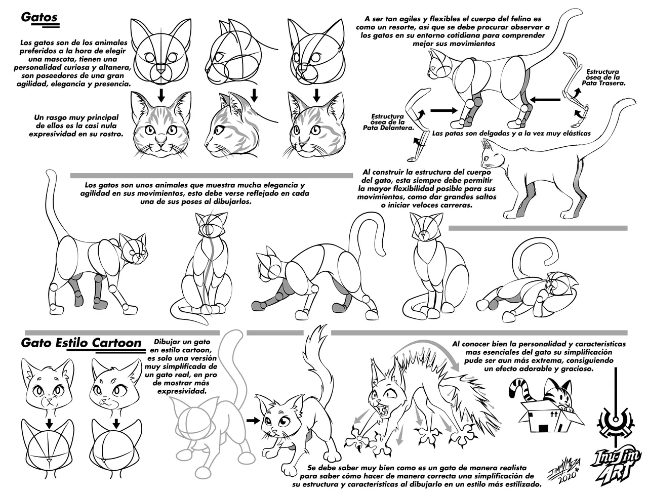 Gatos.png
