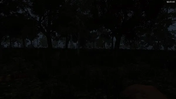 woods.jpg