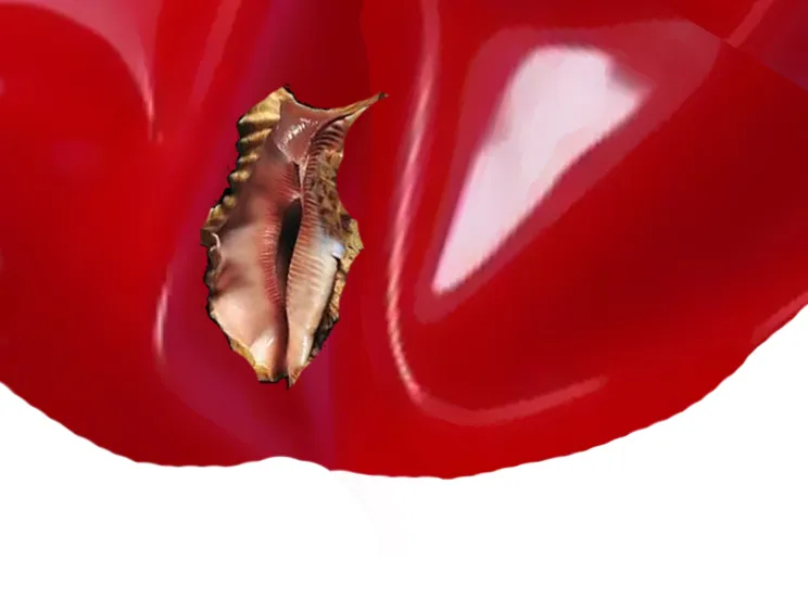 conch.jpg