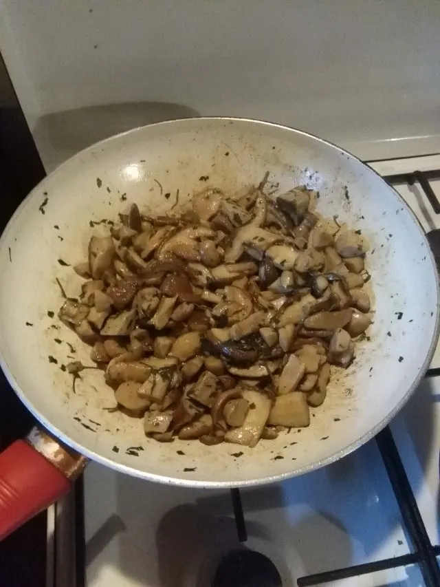 pilz7.jpg