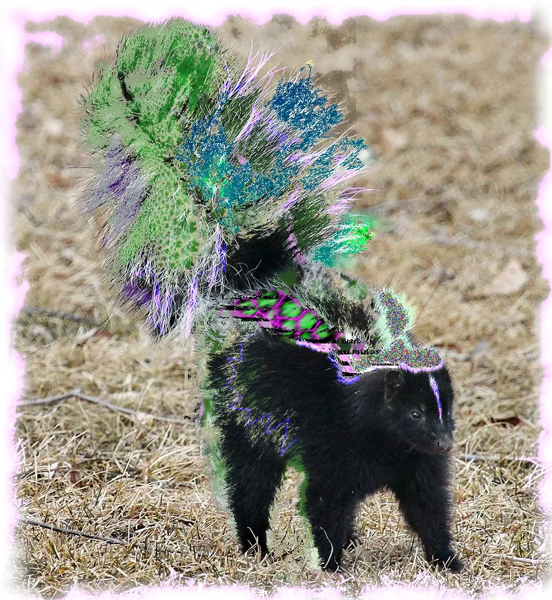 skunk.png