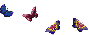 fly-1.gif