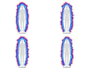 PHOTO.jpg