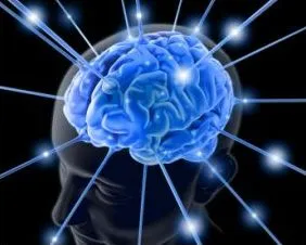 brain.jpg