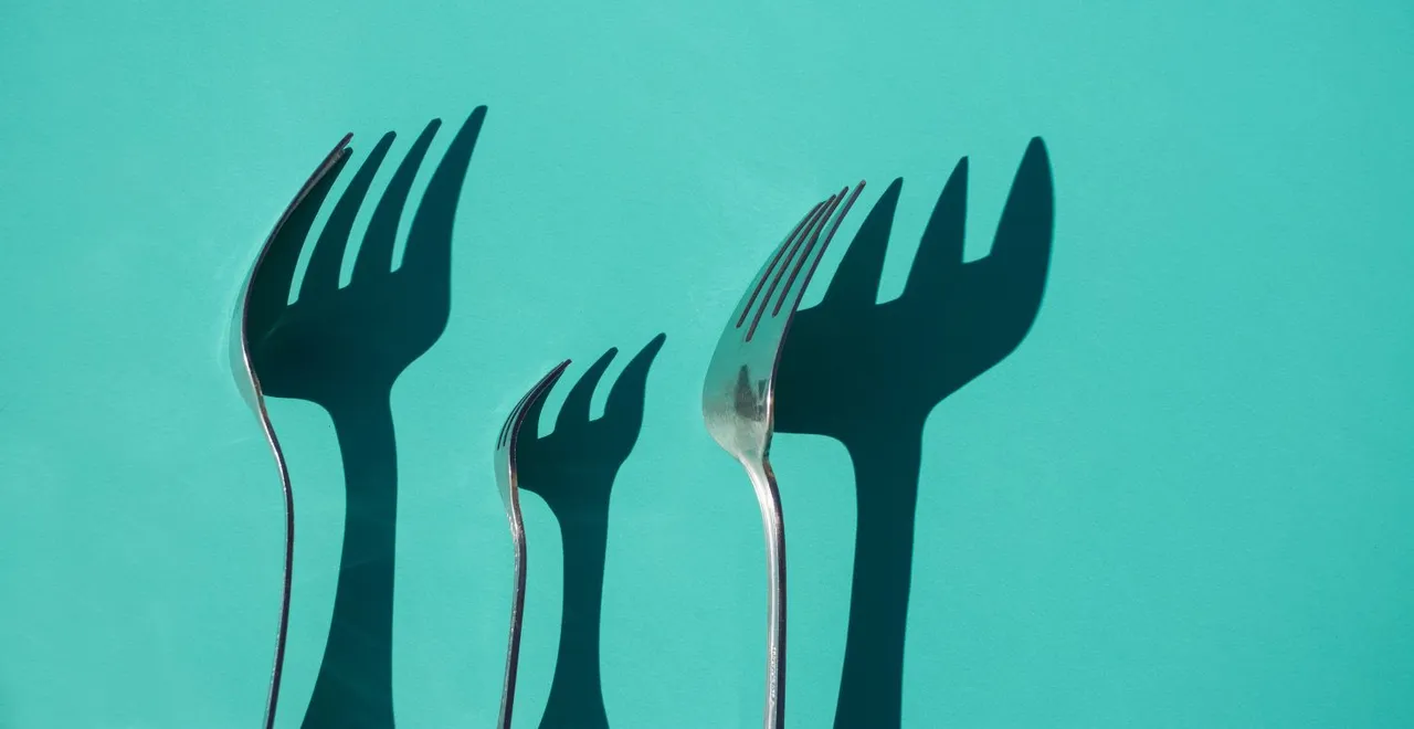 fork.jpeg