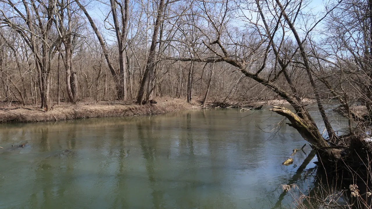 river.png