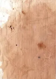 wood.jpeg