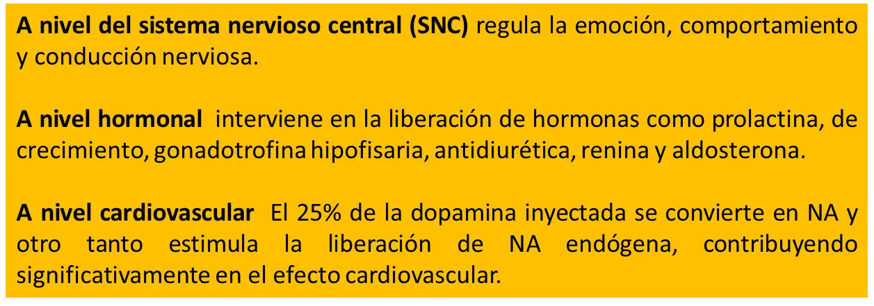 tabla.png