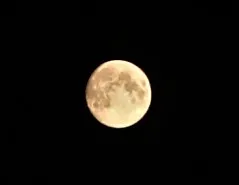 moon2.jpg