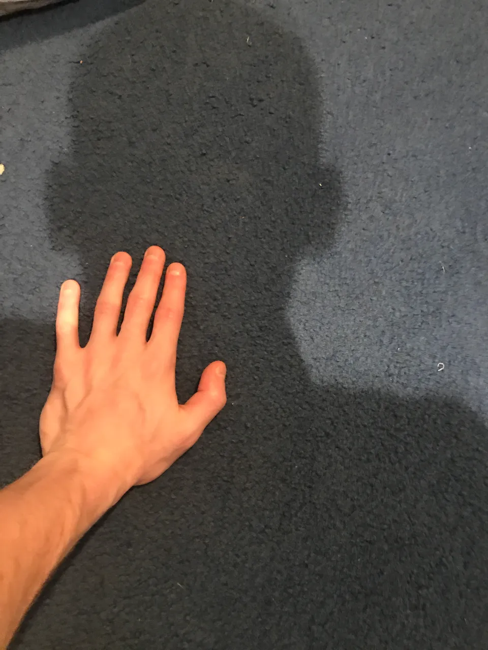 image.jpg