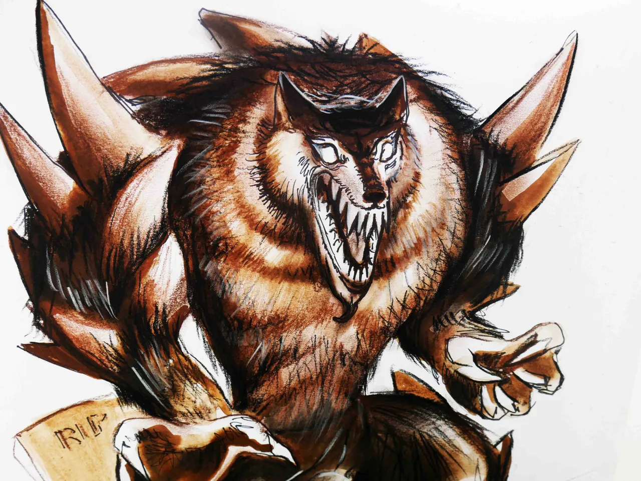 Wolf5.jpg