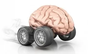 brain.jpg