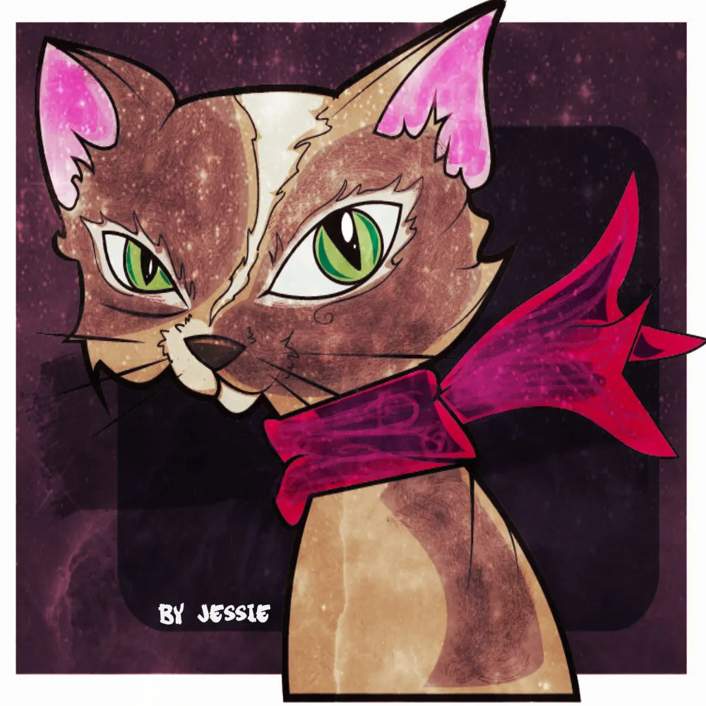 gatou.jpg