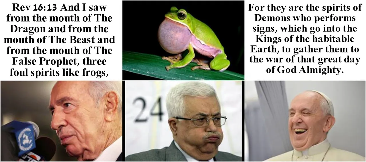 frogs.jpg