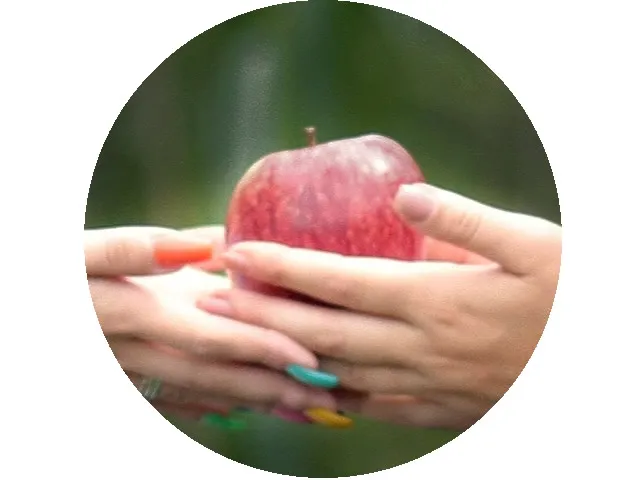 apfel.jpg