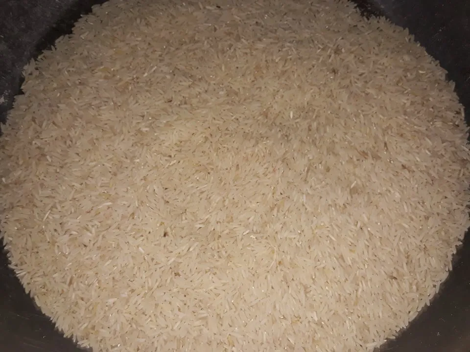 rice1.jpg
