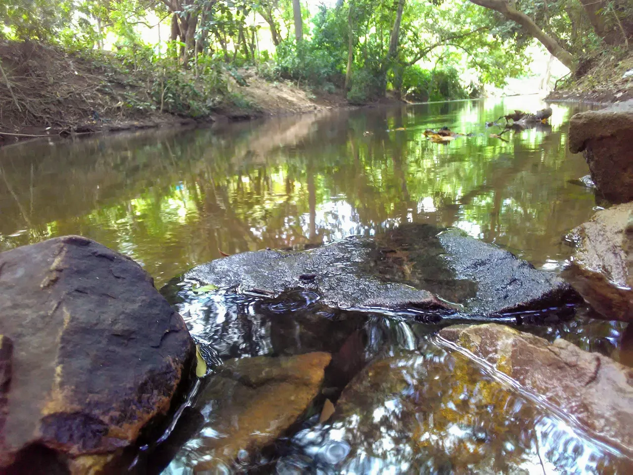 River.jpg