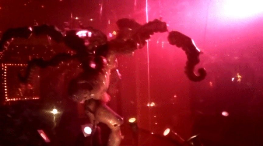 Pulpo.gif