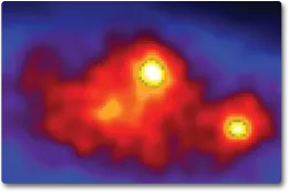 gamma.jpg