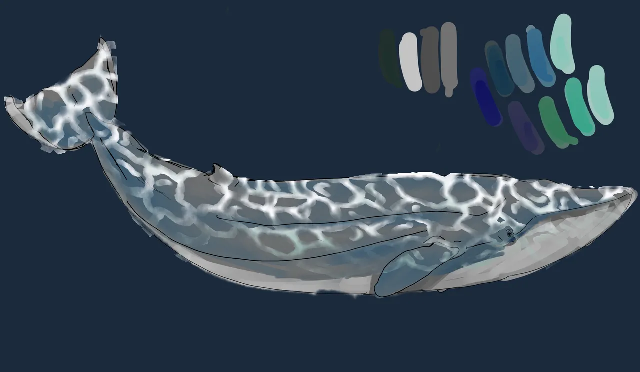 whale.png