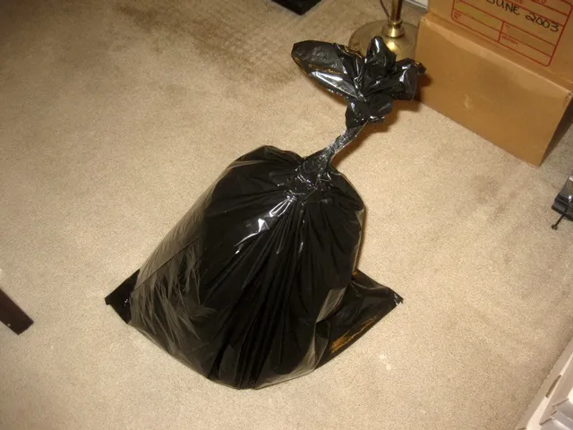 move2.JPG