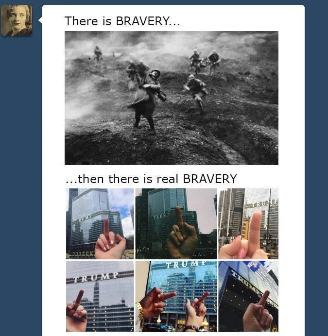 brave.jpg