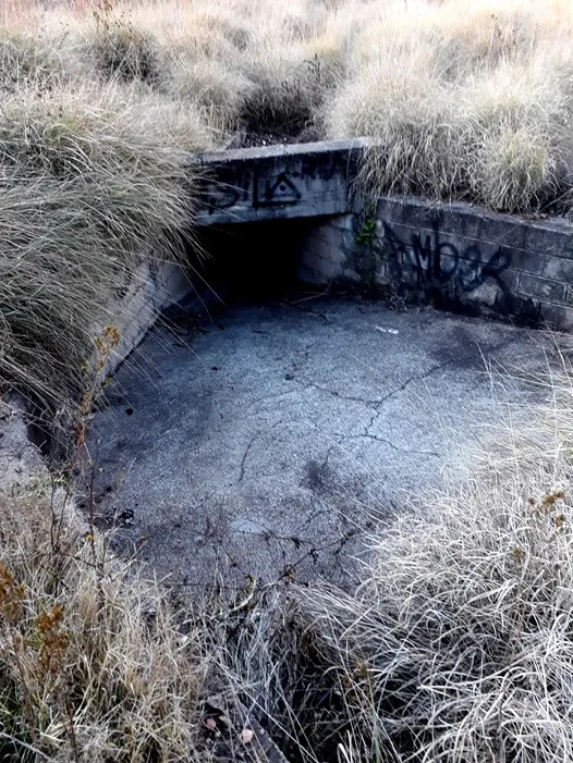 drain.jpg