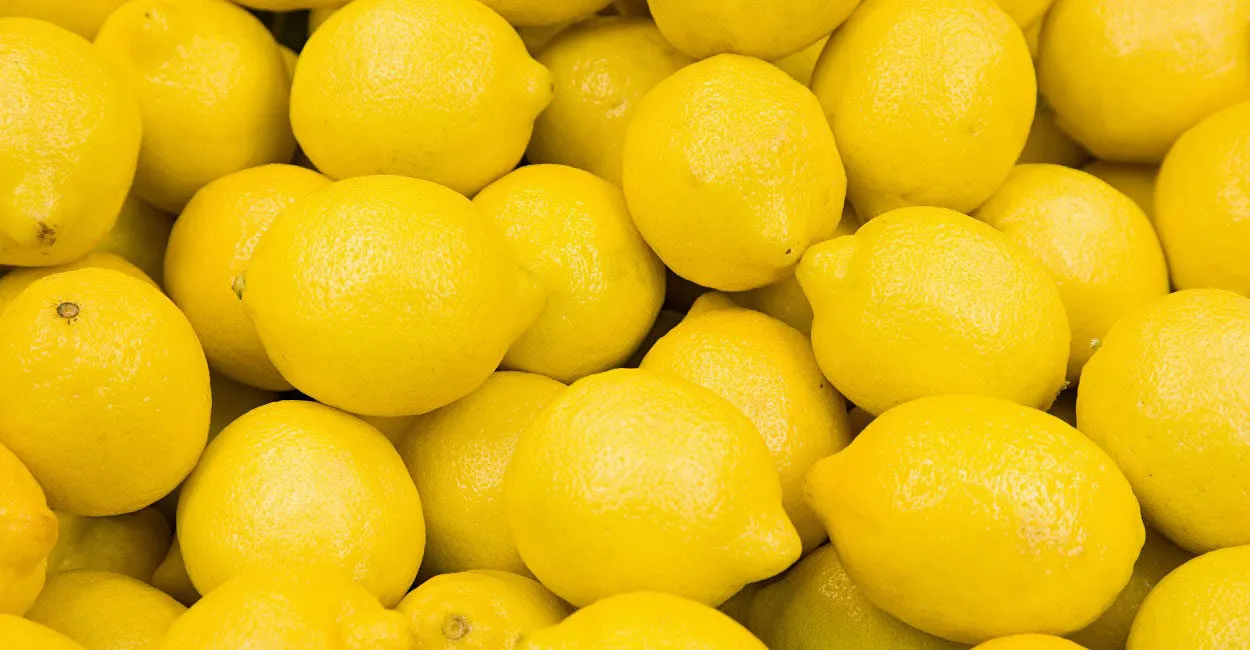 lemon.jpg