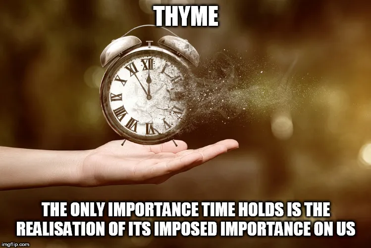 Thyme.jpg