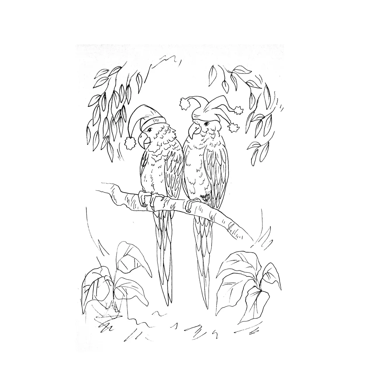 bird1.jpg