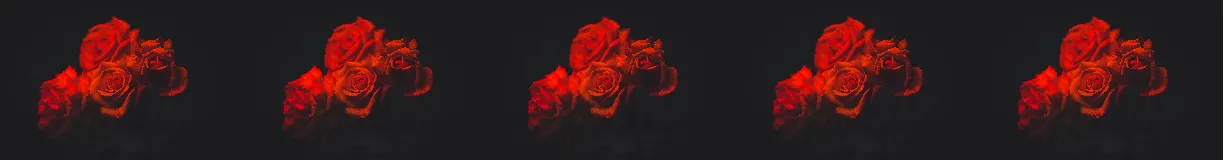 roses.png