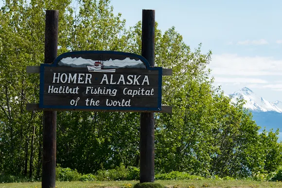 homer.jpg