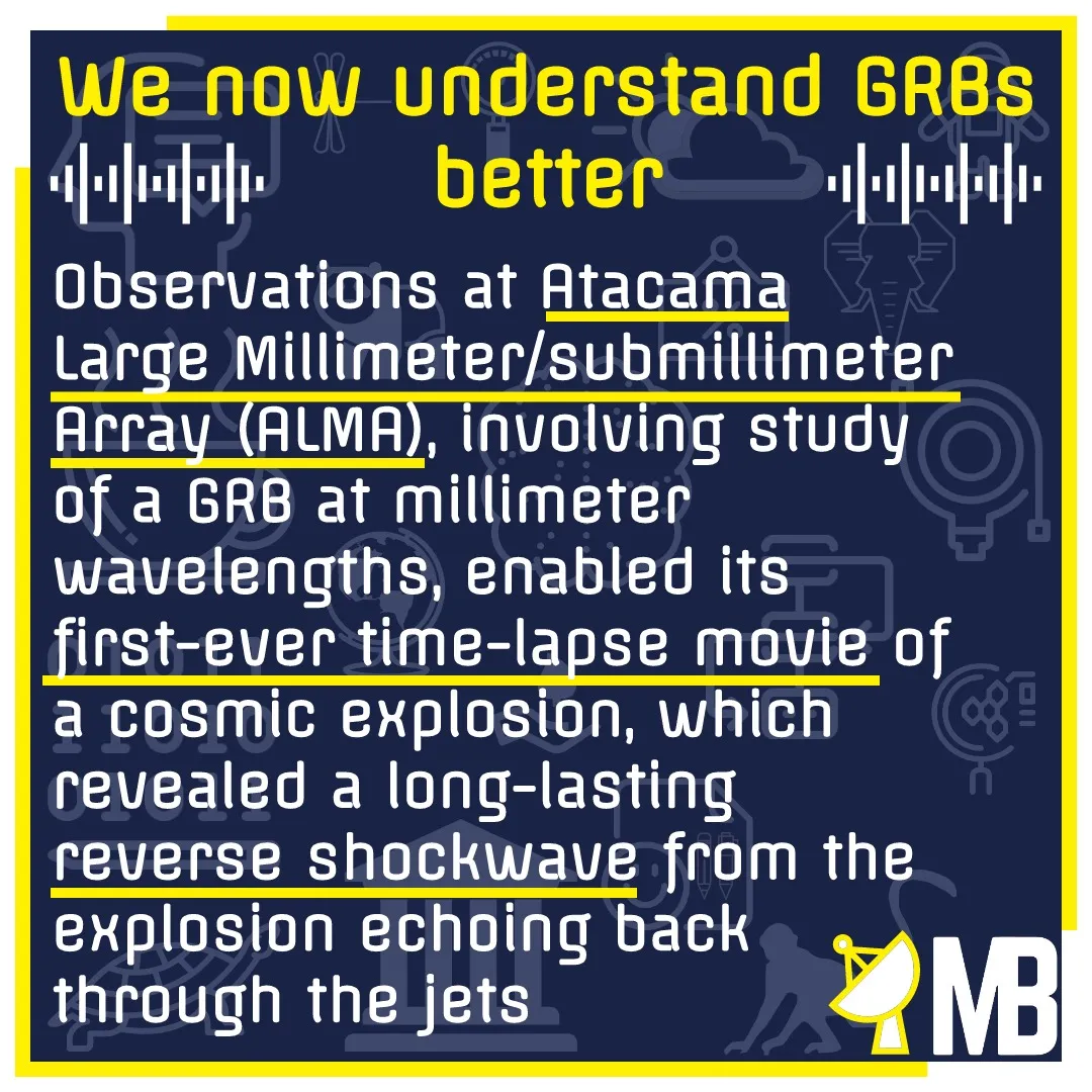 MB12.jpeg