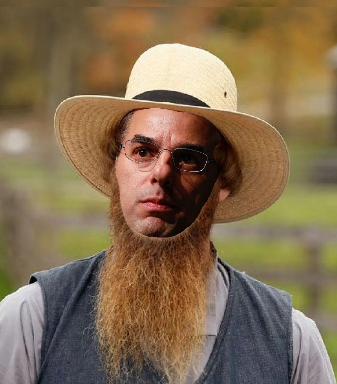 amish.jpg