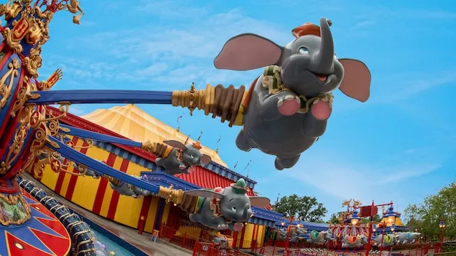 Dumbo.jpg