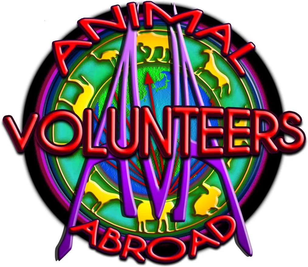 AVA LOGO BY CSP.jpg