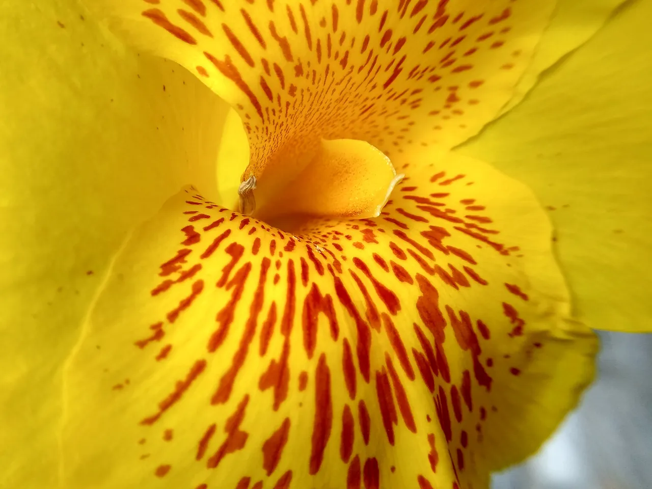 IMG_20200903_092101_HDR.jpg