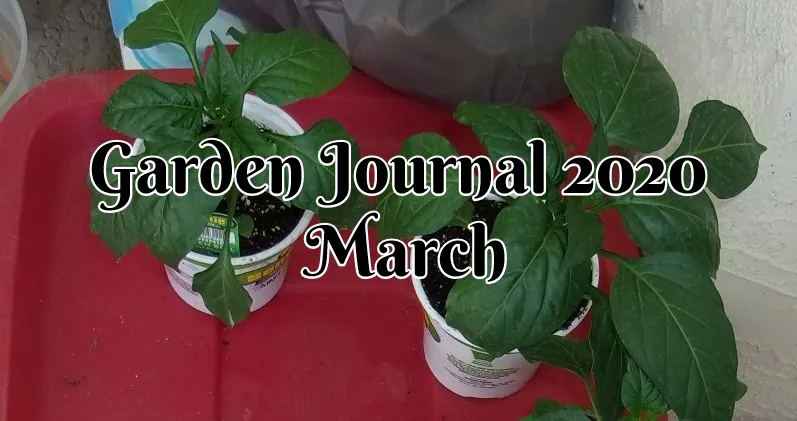 Garden Journal 2020 cover.jpg