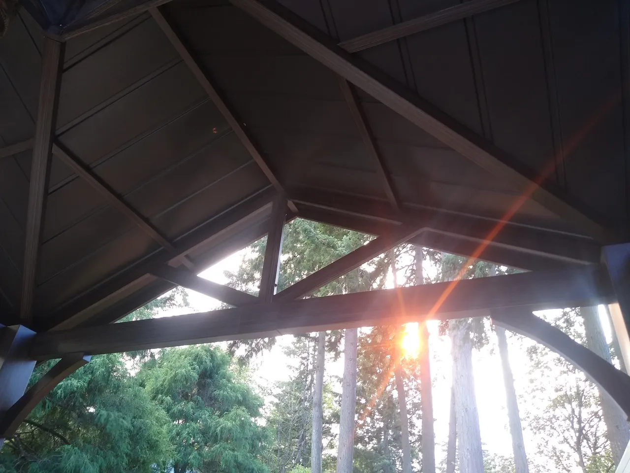 IMG_20200909_171618789.jpg