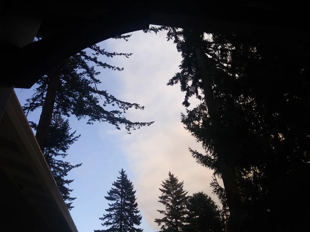 IMG_20200909_171644042.jpg