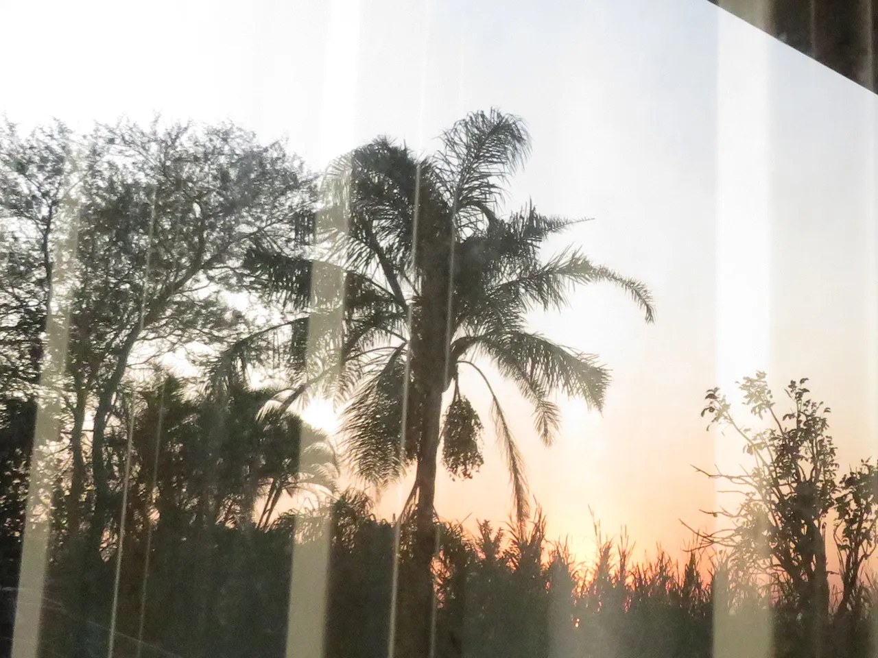 8322OutdoorReflection.JPG