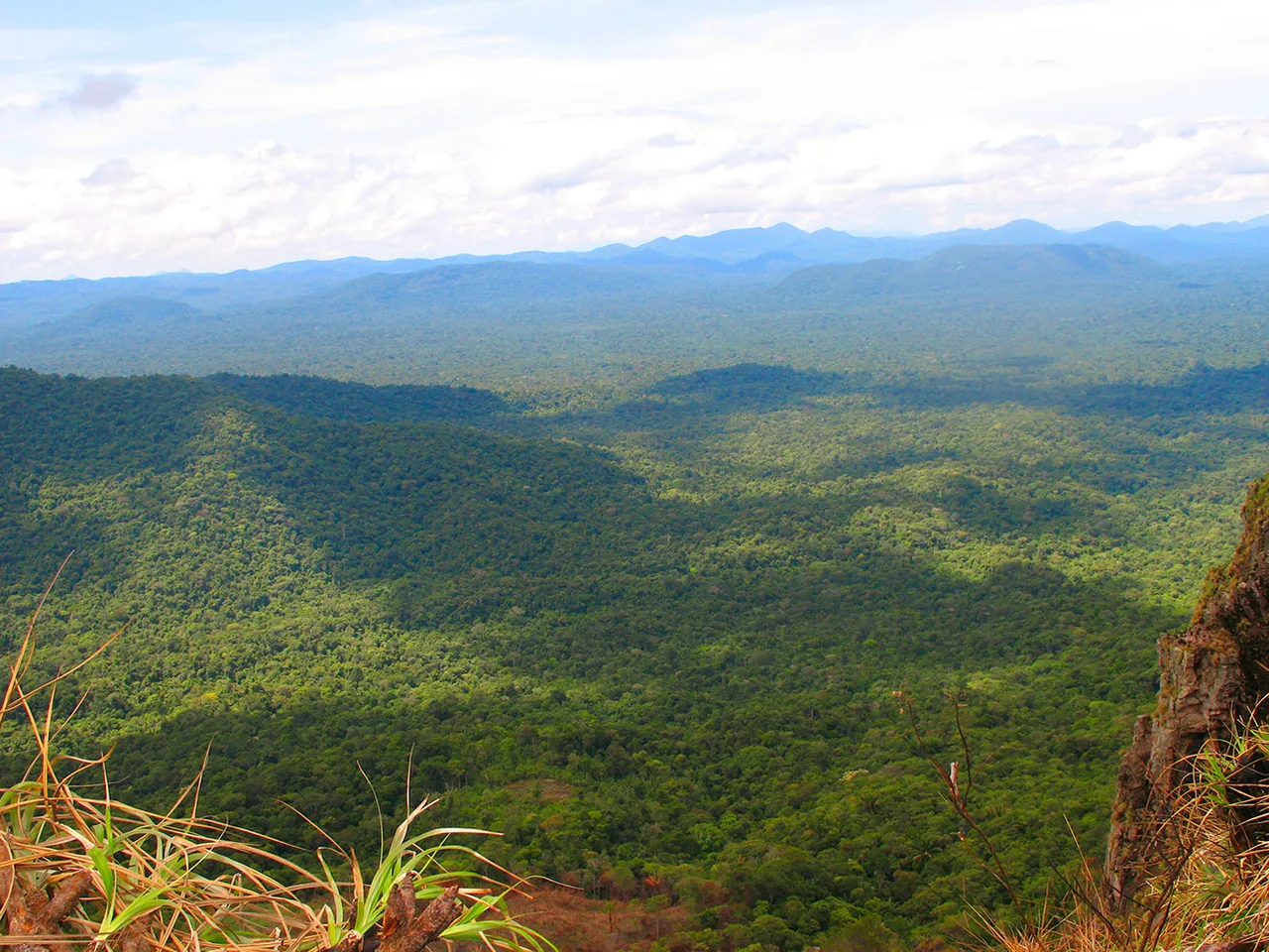 Pauji_Abismo_006_op.jpg