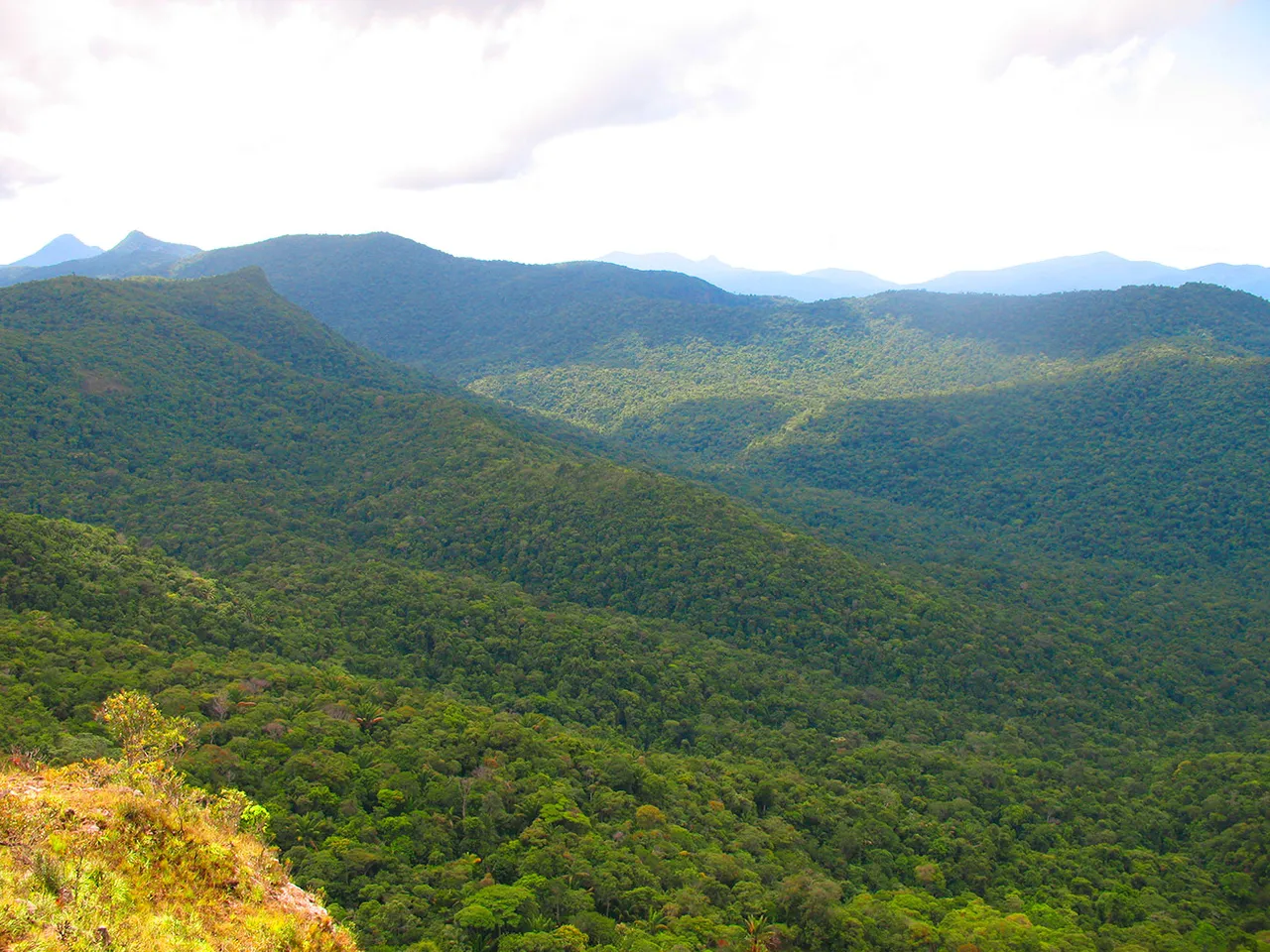 Pauji_Abismo_011_op.jpg