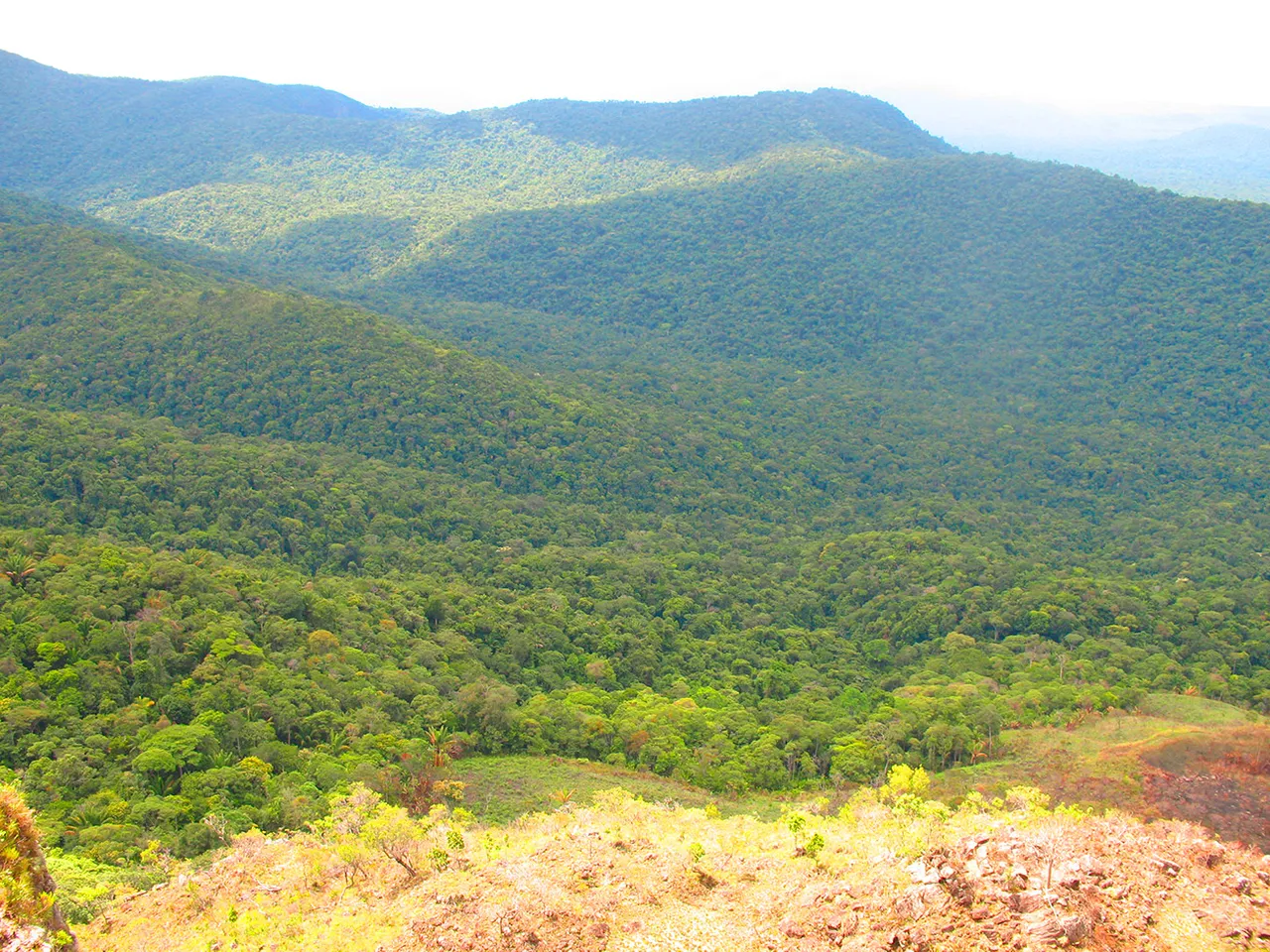 Pauji_Abismo_010_op.jpg