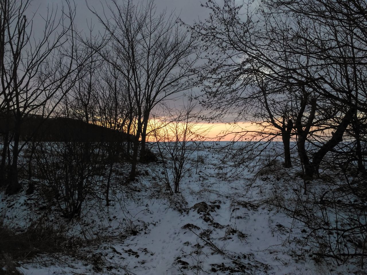 IMG_20210128_165748.jpg