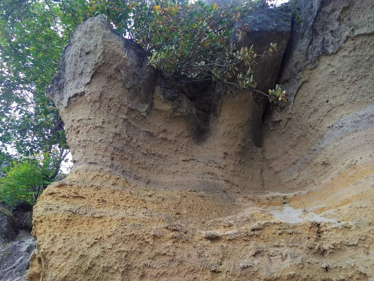 IMG_20201007_222108.jpg