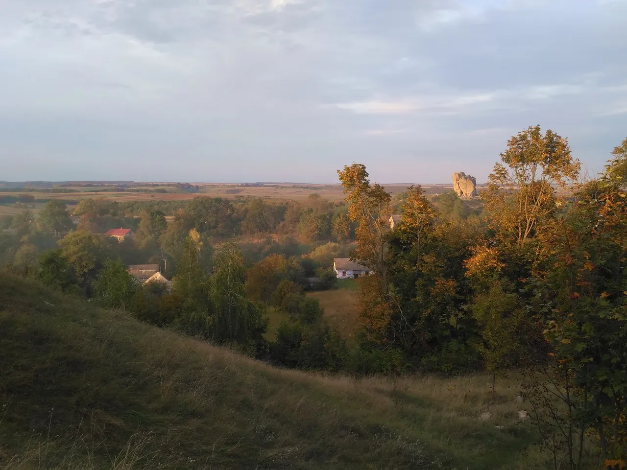 IMG_20201007_180551.jpg