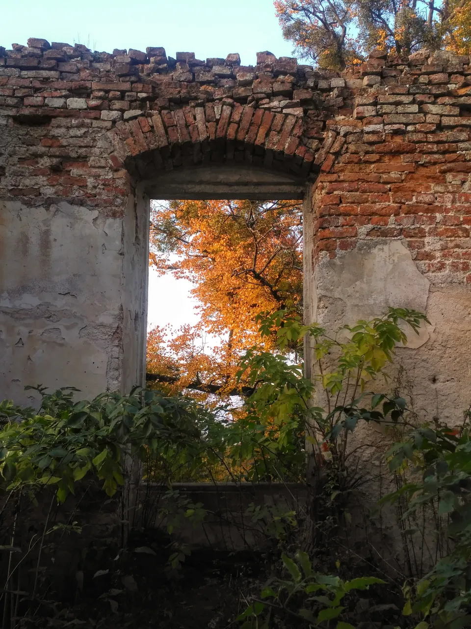 IMG_20201027_162916.jpg